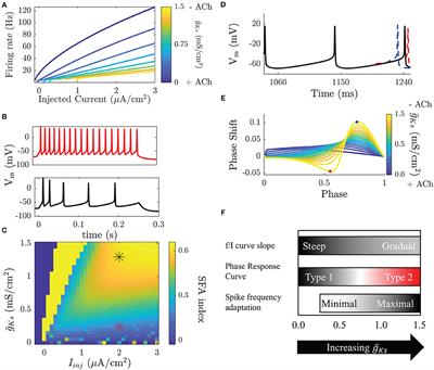 Acetylcholine Mediates Dynamic Switching Between Information Coding Schemes in Neuronal Networks